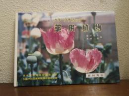 薬用植物 : カラーグラフィック