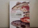菜市場　魚圖鑑