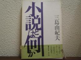 小説とは何か