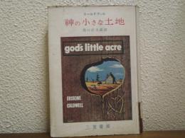 神の小さな土地