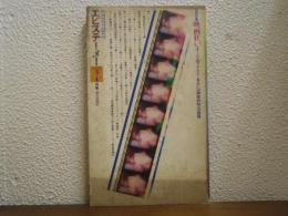 エピステーメー 1978年 3+4月号：特集＝映画狂い　イマージュのアナルシーあるいは制度的知への挑発