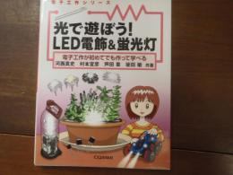 光で遊ぼう!LED電飾&蛍光灯 : 電子工作が初めてでも作って学べる