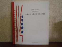 淀井彩子作品集  土地の名・土地の色・土地の時間