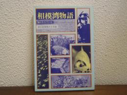 相模湾物語 : 海は生きている