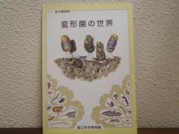 森の魔術師 : 変形菌の世界