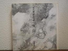 曳白 : 堀井春一郎全句集