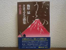 さまよえる歌集 : 赤人の世界