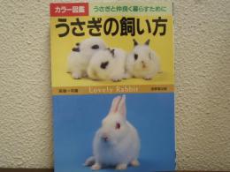 うさぎの飼い方 : うさぎと仲良く暮らすために