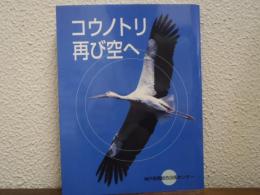 コウノトリ再び空へ
