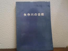 矢作川の自然