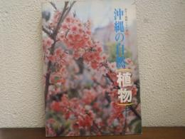 沖縄の自然【植物】