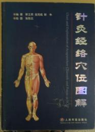 針灸経絡穴位図解 (针灸经络穴位图解)