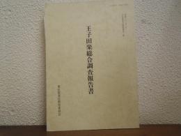 王子田楽総合調査報告書