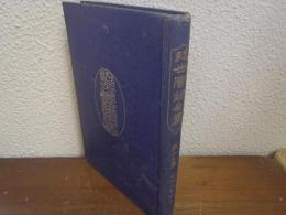 近世實録全書　第19巻　明治の実録３