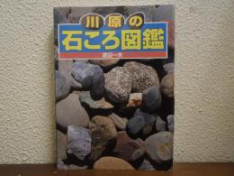 川原の石ころ図鑑