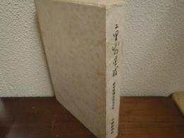 二里山の星霜 : 栃木県議会百年外史