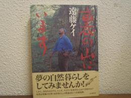 裏の山にいます