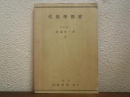 代数学撰要