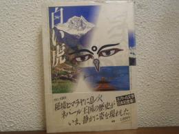 白い虎