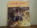 カメを飼ってみよう