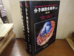 分子細胞生物学　上下巻揃い
