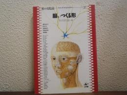 脳がつくる形