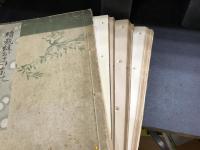 續裁縫おさいくもの