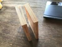 宗教生活の原初形態　