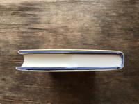 「存在の現れ」の政治 : 水俣病という思想