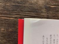 ジャック・ロンドン名論卓説集 : ノンフィクションから見えてくるもの