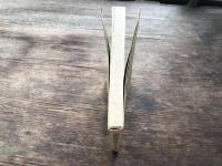 日本精神病観史資料集成