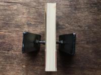 わが亡きあとに洪水はきたれ! : ルポルタージュ巨大企業と労働者