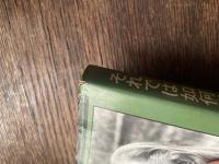 それでは如何に生きるべきか : 西洋文化と思想の興亡