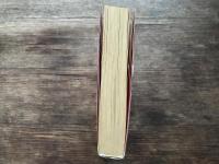 イカすバカウマ天国 (ジェッツコミックス)