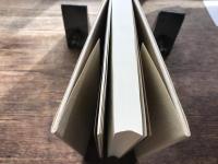 アントン・ライザー : 心理小説