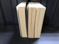 秘境西域八年の潜行