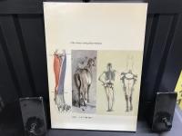 独）Die Gestalt des Tieres Eine Zeichenschule mit methodischen, anatomischen und künstlerischen Grundlagen