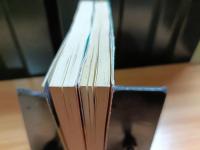 小説 : 人間革命