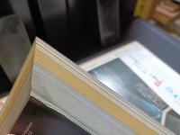 a+u建築と都市 80:01 №112 創刊十周年記念特大号◆特集：ピーター・アイゼンマン