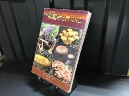 続　泉龍寺のきのこ　