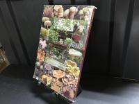 続　泉龍寺のきのこ　