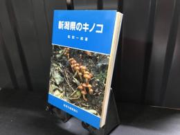 新潟県のキノコ