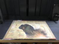 主婦之友　昭和19年12月号　滅敵生活　アメリカ人をぶち殺せ！