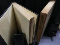 極東新秩序の模索