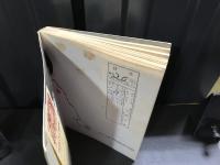 青春　30　ティーンビート劇画集