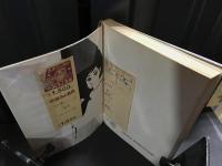 青春　33　ティーンビート劇画集