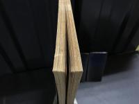 石井隆特選集 ４集 別冊ヤングコミック