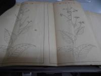 日本煙草誌　（神奈川県の部）　明治30年