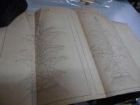 日本煙草誌　（神奈川県の部）　明治30年