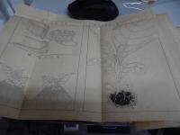 日本煙草誌　（神奈川県の部）　明治30年